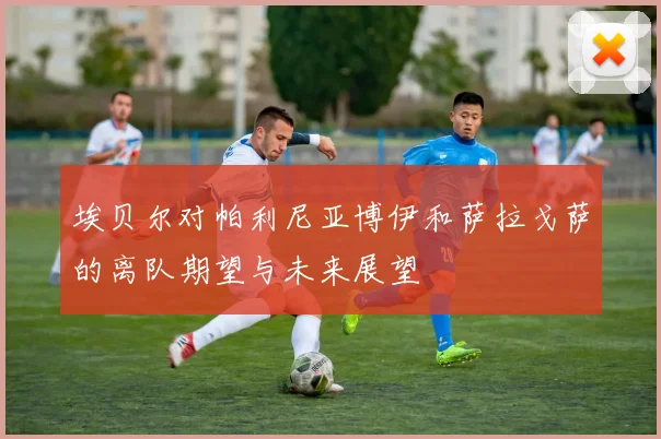埃贝尔对帕利尼亚博伊和萨拉戈萨的离队期望与未来展望